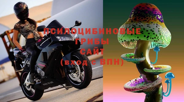 Альфа ПВП Заводоуковск